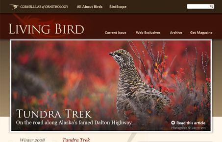 http://www.livingbird.org