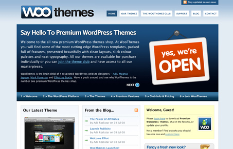 woothemes.com