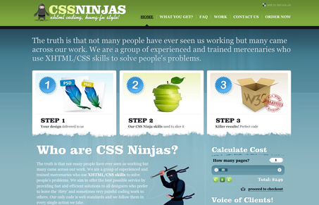 cssninjas.com