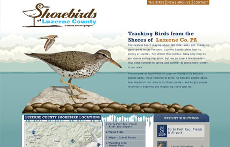shorebirdsnepabirdprojectorg
