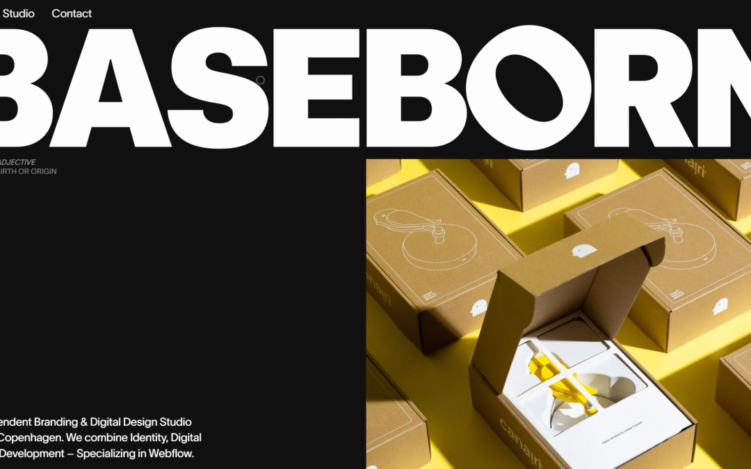 BASEBORN
