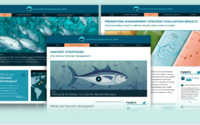 Web and logo design for Harvest Strategies