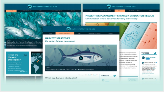 Web and logo design for Harvest Strategies