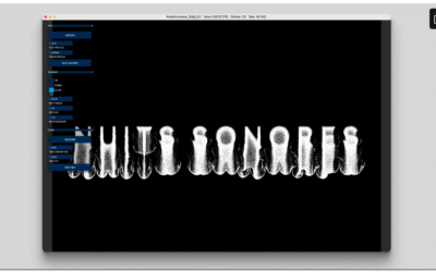 Nuits Sonores