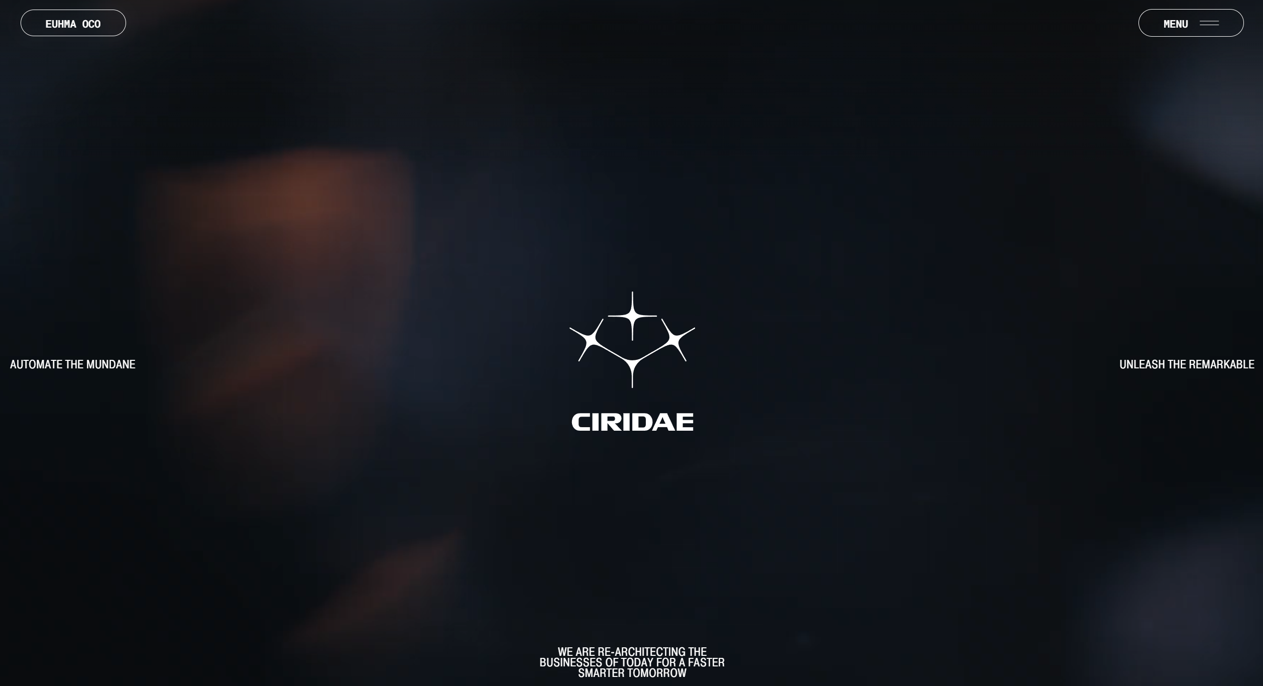 Ciridae